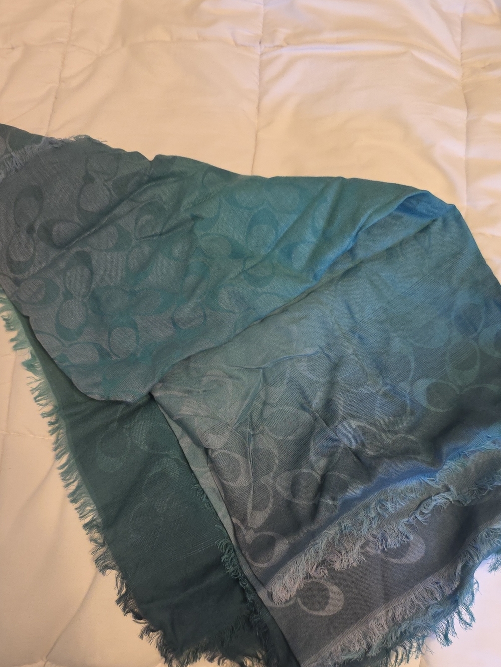 Coach Teal Logo Ombre Large Jacquard Fringe Scarf